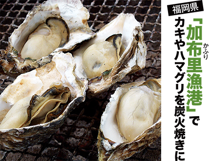 「加布里漁港」でカキやハマグリを炭火焼きに