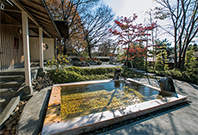 福島県 須賀川温泉 おとぎの宿 米屋