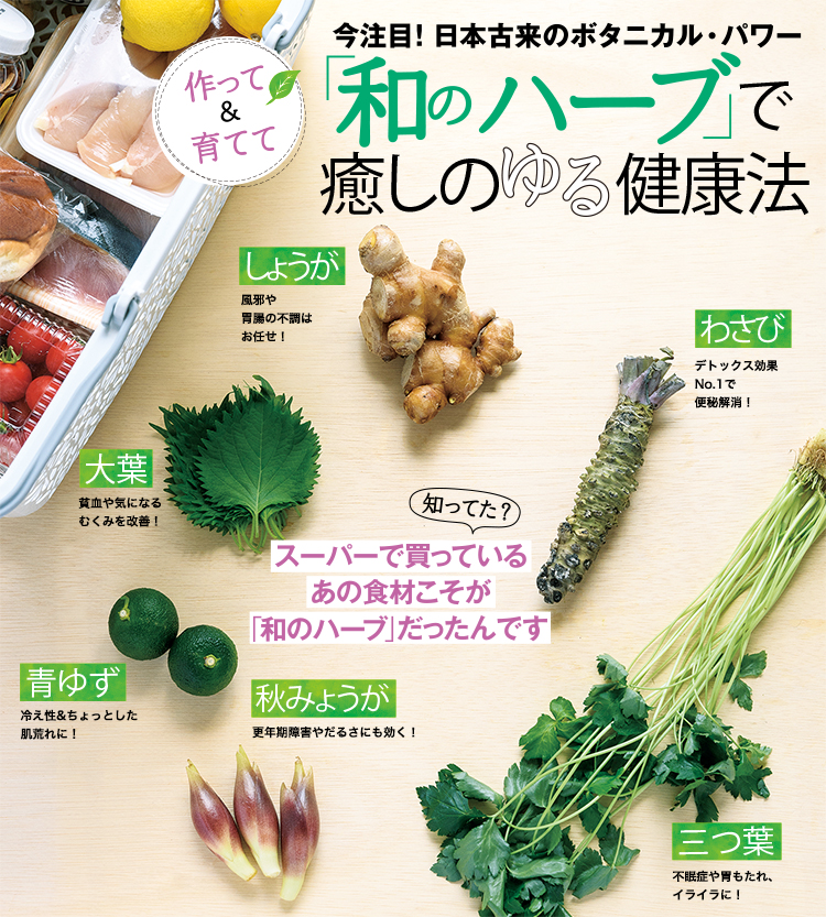 スマホ対応 今注目 日本古来のボタニカル パワー 和のハーブ で癒しのゆる健康法 和食スタイル 光文社和食プロジェクト