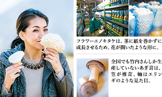 フラワーエノキタケは、茎に紙を巻かずに成長させるため、花が開いたような形に。
