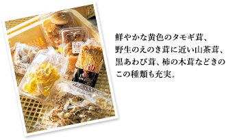 鮮やかな黄色のタモギ茸、野生のえのき茸に近い山茶茸、黒あわび茸、柿の木茸などきのこの種類も充実。