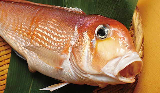 さかな歳時記「二十四節気・立冬」 京料理の華色も味も雅びな魚。