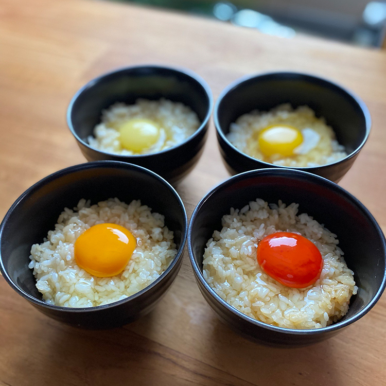 日本全国のブランド卵が大集合 専門店が東京駅に期間限定オープン 